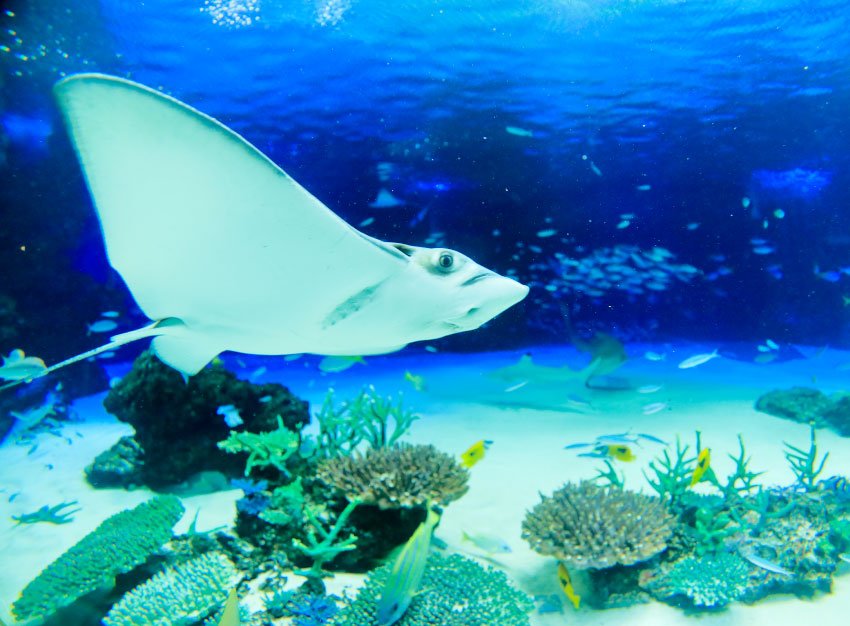 サンシャイン水族館